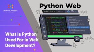 What is Python Used For in Web Development?