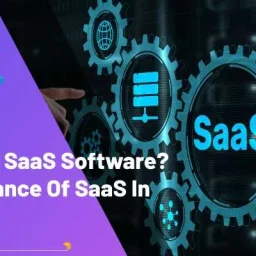 What is SaaS Software