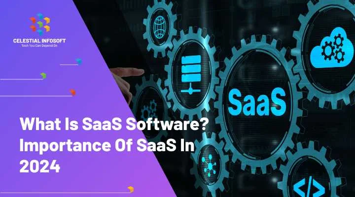 What is SaaS Software
