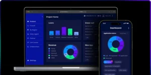 Loan Management Software project
