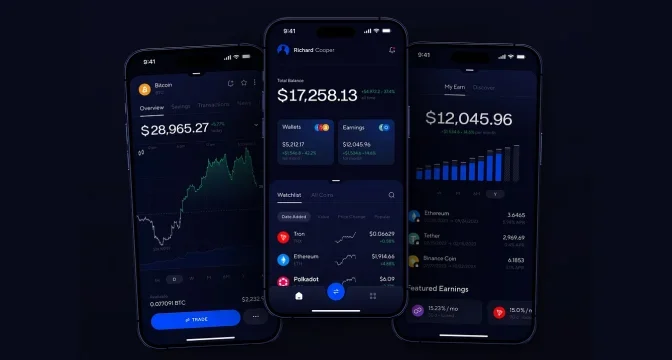 Blockchain-Powered Digital Wallet App for Secure Transactions and Biometric Authentication