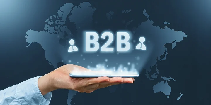 User Centric Testing for a B2B Logistics Client Portal